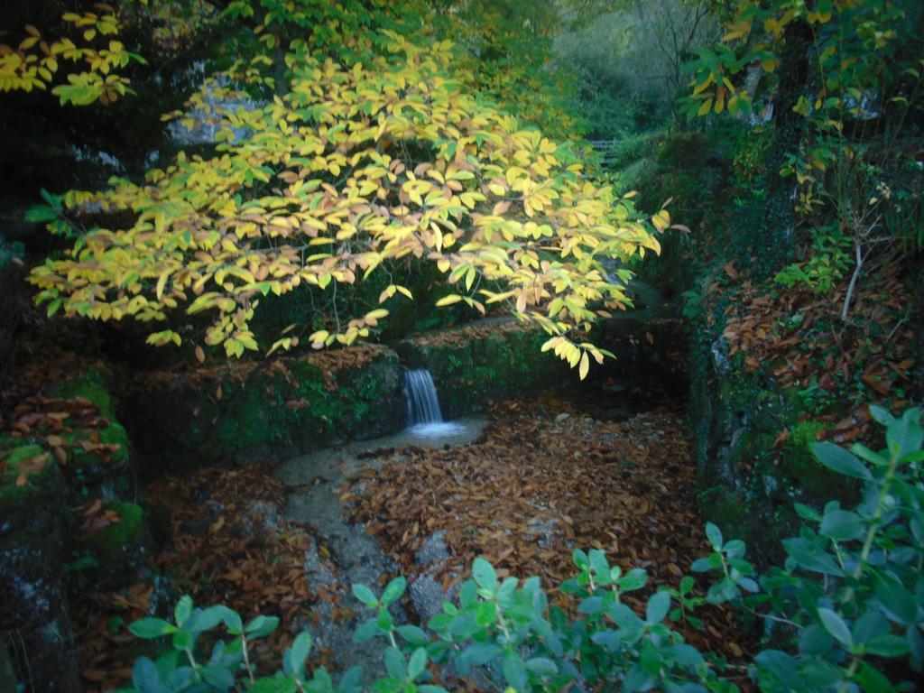 Quinta De Barbedo Villa Caniçada Esterno foto